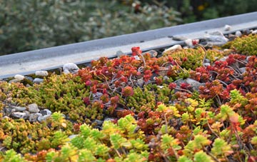 the cost of Wetherden Upper Town green roof installation