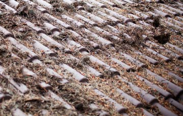 Wetherden Upper Town roof cleaning companies