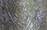 Wetherden Upper Town fibreglass roof work